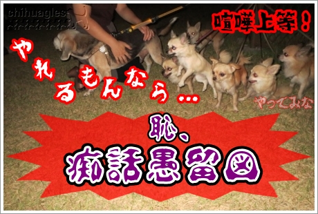 ビーグルとチワワ