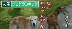 人気ブログランキング