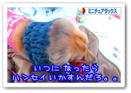 応援ありがとうございますワン!!