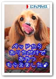 応援ありがとうございますワン!!