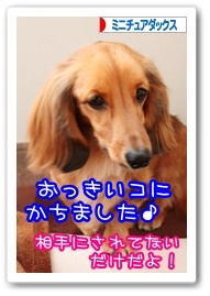 応援ありがとうございますワン!!