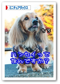 応援ありがとうございますワン!!