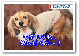 応援ありがとうございますワン!!