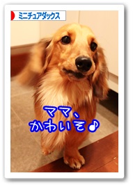 応援ありがとうございますワン!!
