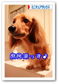 応援ありがとうございますワン!!