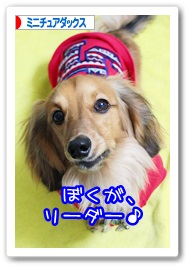 応援ありがとうございますワン!!