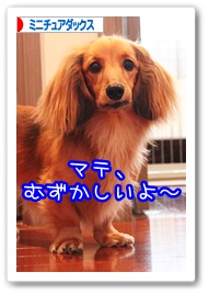 応援ありがとうございますワン!!