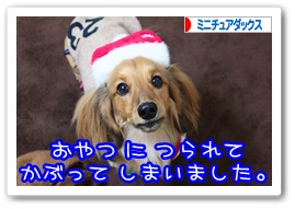 応援ありがとうございますワン!!