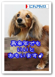 応援ありがとうございますワン!!