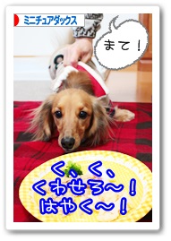 応援ありがとうございますワン!!