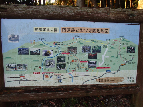 20131212_072757007.jpg