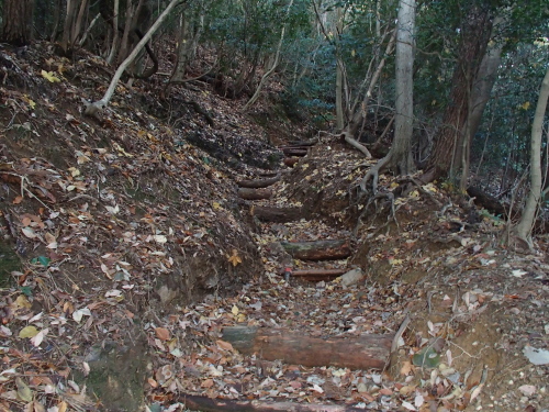 20131212_073636009.jpg
