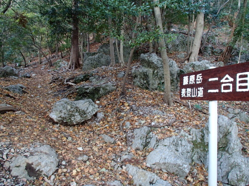20131212_074244010.jpg