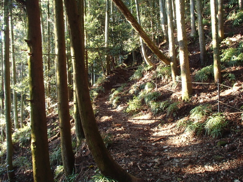 20131212_074828012.jpg