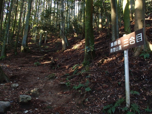 20131212_075158013.jpg