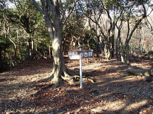 20131212_080413014.jpg