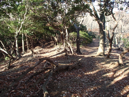 20131212_080445015.jpg