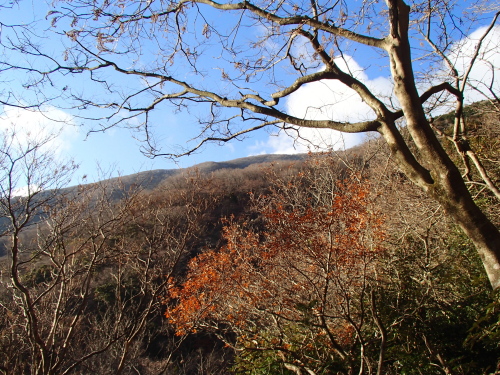 20131212_081745017.jpg