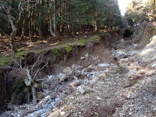 20131212_083949019.jpg