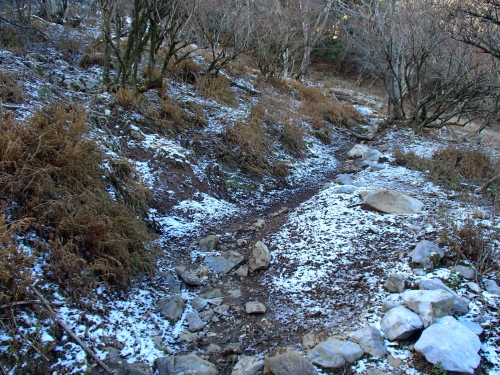 20131212_085452023.jpg