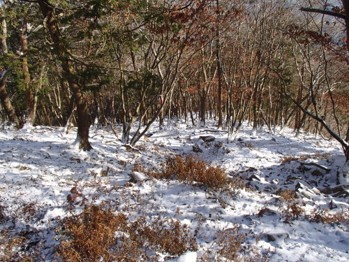 20131212_091820026.jpg