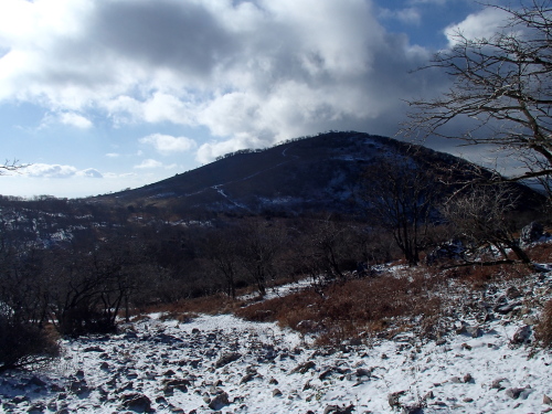 20131212_094235032.jpg