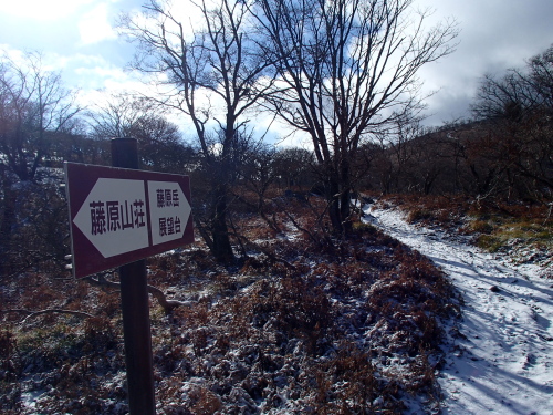 20131212_094541033.jpg