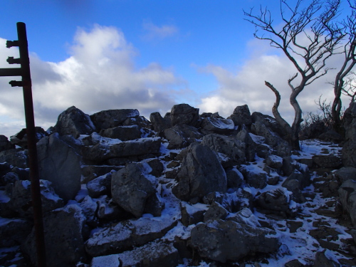 20131212_100251035.jpg