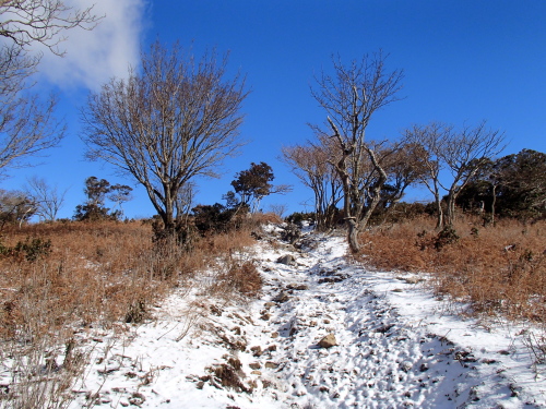 20131212_101211036.jpg