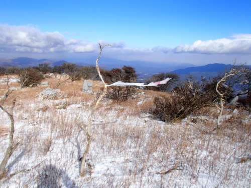 20131212_102939039.jpg