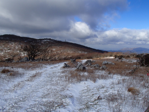 20131212_102946041.jpg
