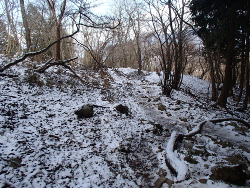 20131212_105433042.jpg