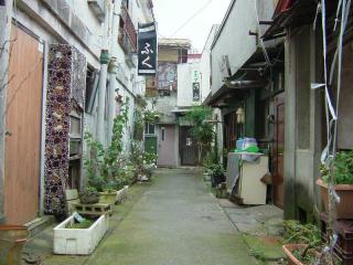 2006_1102_130410AA.jpg