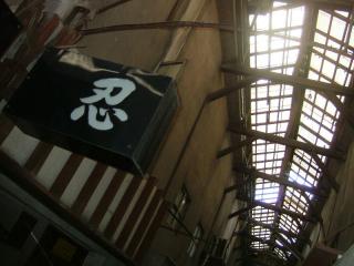 2007_0809_084409AA.jpg