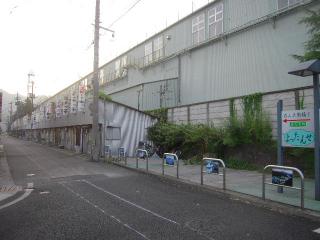_20100829_052523.jpg
