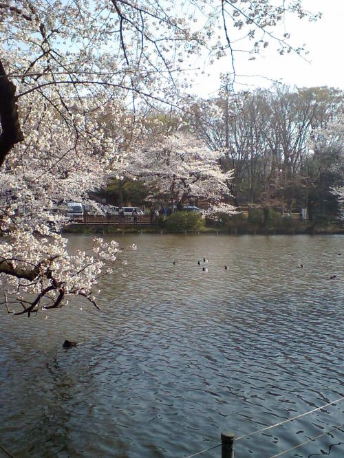 20080328-2.jpg