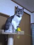 201304026.jpg