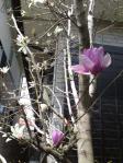 201304025.jpg