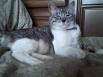 201305034.jpg