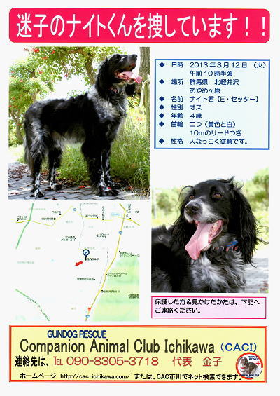 catalog image