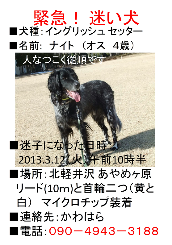 catalog image