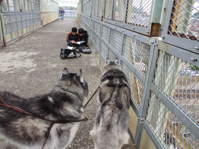 跨線橋