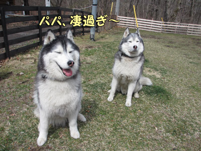 晴れ男ばんざい
