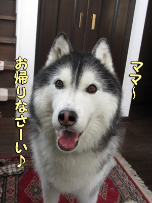 お出迎えポトフ