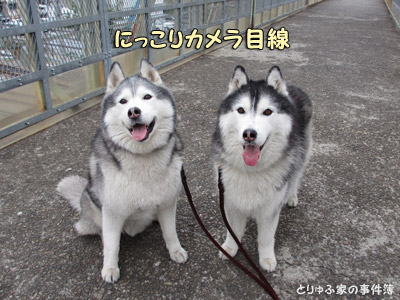 笑顔のプロフェッショナル