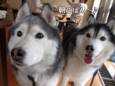 朝食タイム