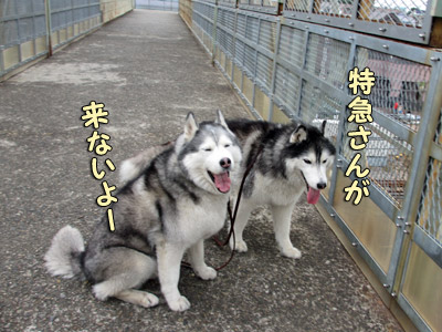 鉄っちゃんズ