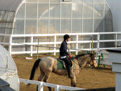 馬術練習中
