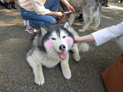 えへえへポトフ