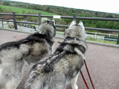 まきば公園